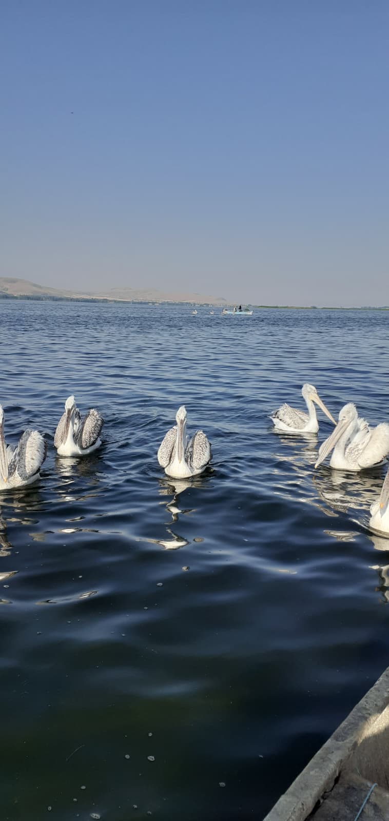 Işıklı Gölü günbatımı tekne turu