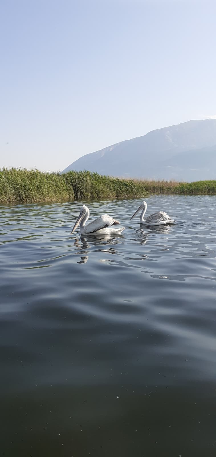 Işıklı Gölü sabah manzarası